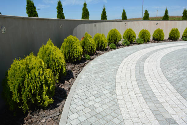 Best Affordable Driveway Paving  in Lyons, IL